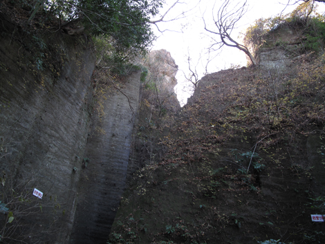 20180110hike (136)